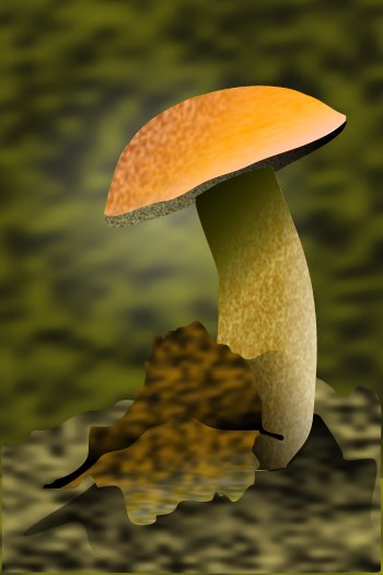 Mushroom ©Alexander Grigoriev