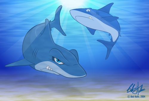 Sharks Bob Hahn