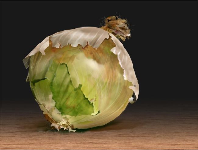 Onion Derek Cooper