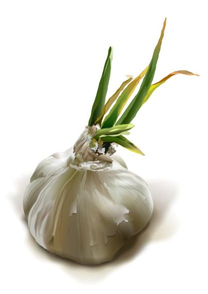 Garlic Derek Cooper