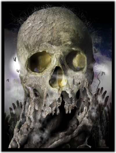 Skull Derek Cooper