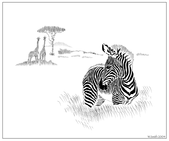 Zebra Wayne Smith