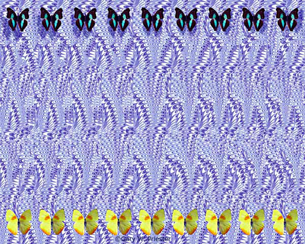 Butterfly - Hidden and Floating Image Stereogram Gary W. Priester