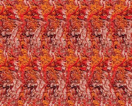 Volcano - 3D Stereogram Gary W. Priester