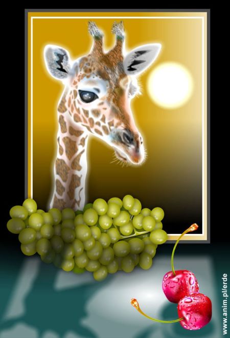 Giraffe Romanowicz Darek
