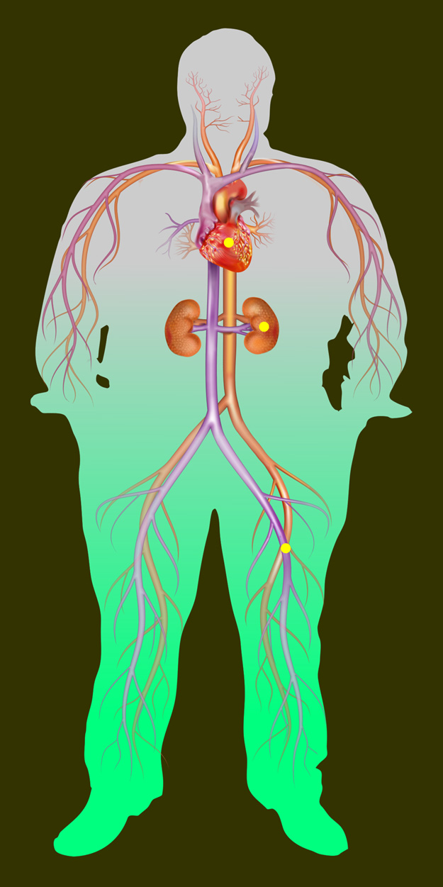 The Body System illustration by Newton Florentino