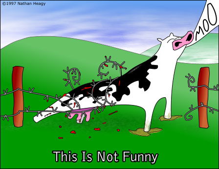 Not Funny by Nathan Heagy