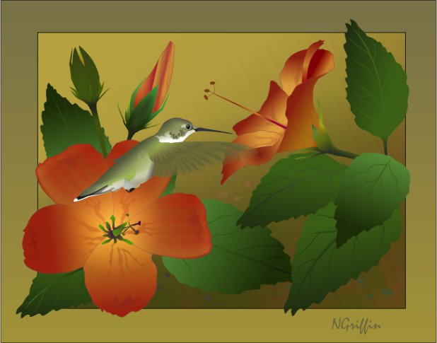 Hibiscus and Hummingbird 2009 Nancy Griffin