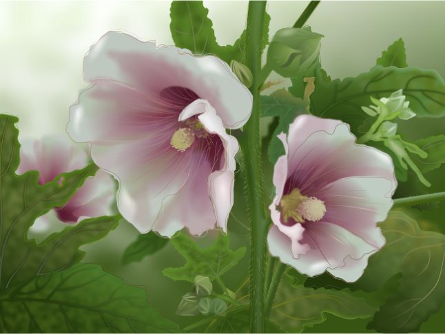 Grandmother's Hollyhocks 2009 Nancy Griffin