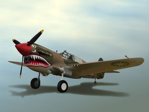 P-40a Warbird with Flying Tiger Paint 2009 Nancy Griffin