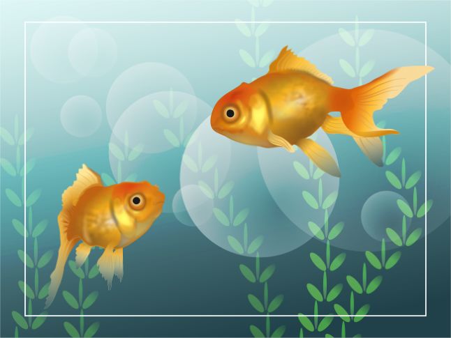 Goldfish Duo  2009 Nancy Griffin