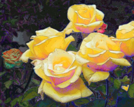 Yellow Roses 2002 Tad Bridenthal