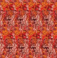 February 2005 Featured Artist - Stereograms by Gary W. Priester