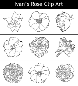 examples of Ivan's Rose Clip art