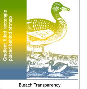 bitmap bleach transparency tip