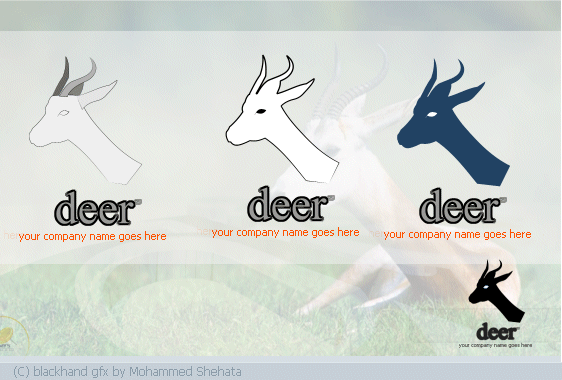 Creating a Gazelle Logo from a Photograph - 2005 Mohammed Sheata