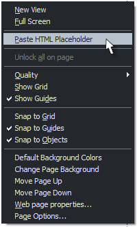 Paste HTML Placeholder menu option